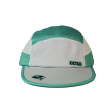 Load image into Gallery viewer, SOFT PEAK CAP 5 PANEL MINTYS
